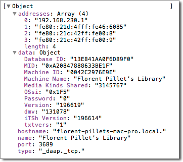 Bonjour lookup services structure